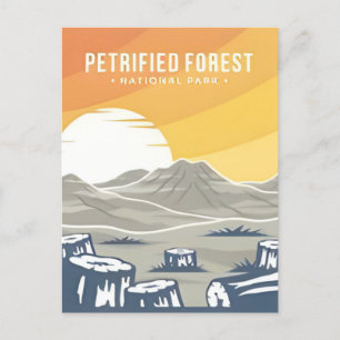 Petrified Forest National Park Arizona Briefkaart