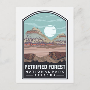 Petrified Forest National Park Arizona Briefkaart