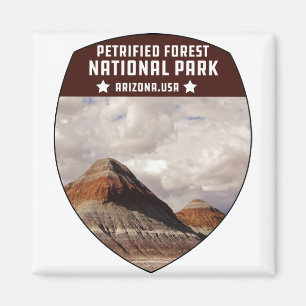  Petrified Forest National Park Arizona Magneet