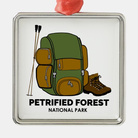 Petrified Forest National Park Backpack Metalen Ornament (Voorkant)