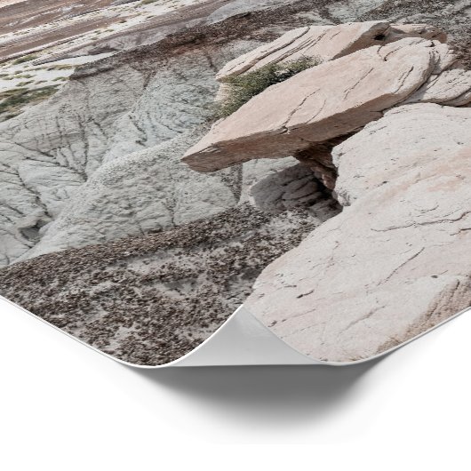 Petrified Forest Print Poster Paper (Semi-Gloss) (Hoek)