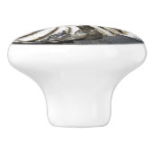 Petrified Nautical Fossil Spiral Ceramic Knob. Keramische Knop (Zijkant)