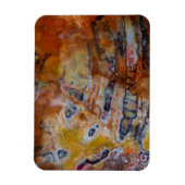 Petrified Wood Brown Magneet (Verticaal)