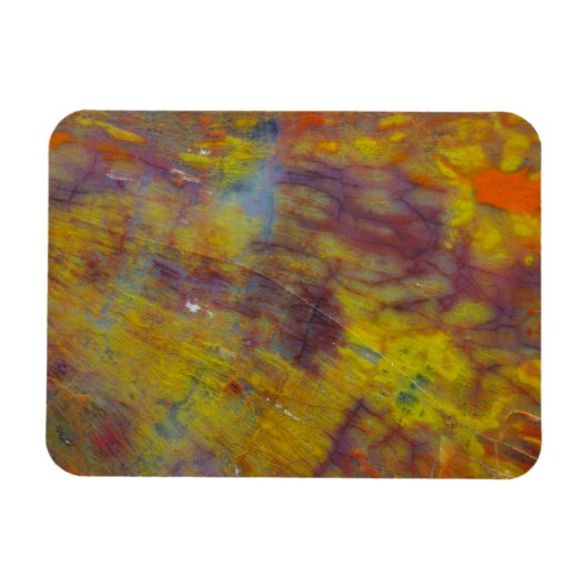 Petrified Wood Magneet (Horizontaal)