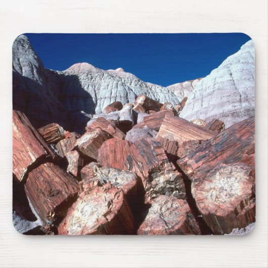 Petrified Wood Mousepad Muismat (Voorkant)