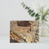 Petrified Wood, Side Briefkaart (Staand voorkant)