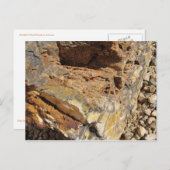 Petrified Wood, Side Briefkaart (Voorkant / Achterkant)