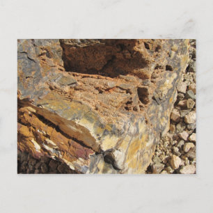 Petrified Wood, Side Briefkaart