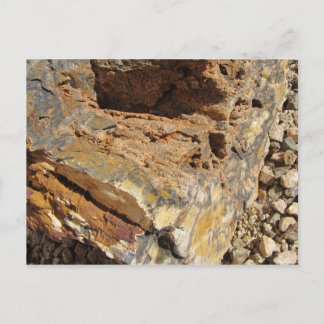 Petrified Wood, Side Briefkaart