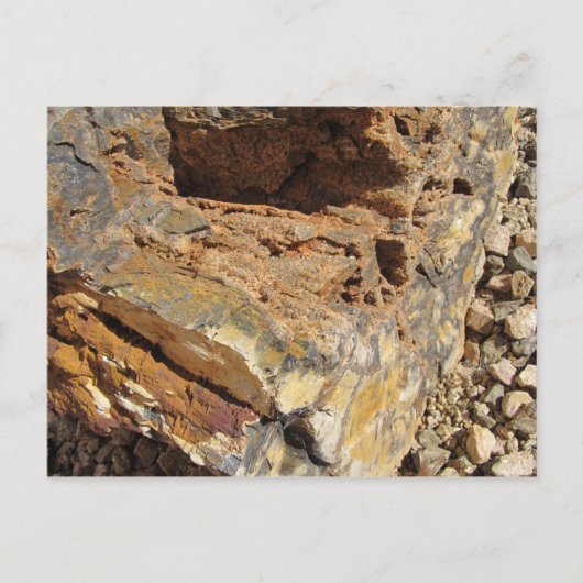 Petrified Wood, Side Briefkaart (Voorkant)