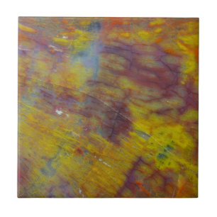 Petrified Wood Tegeltje