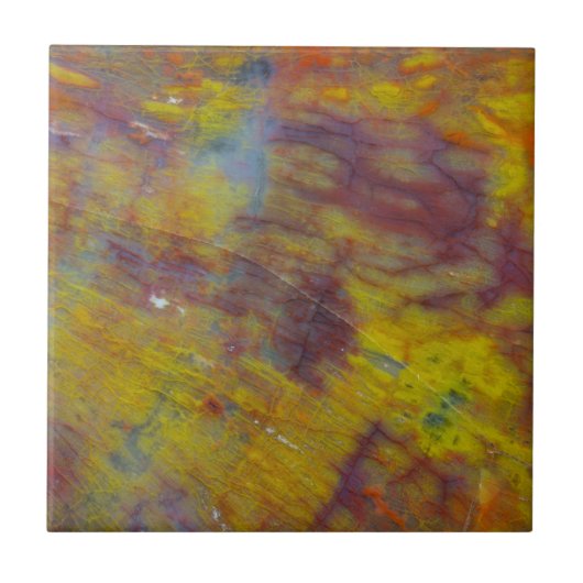 Petrified Wood Tegeltje (Voorkant)