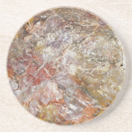 Petrified Wood Zandsteen Onderzetter (Voorkant)