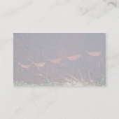 Petroglyphs Visitekaartje (Achterkant)