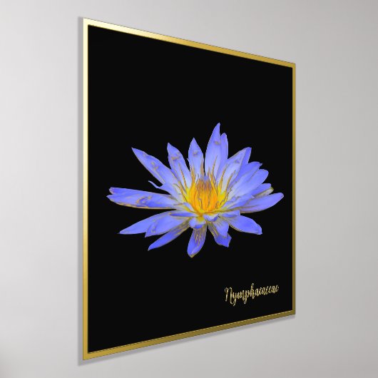 Pétrole Accent Water Lily Design Imprimer Poster A (Poser)