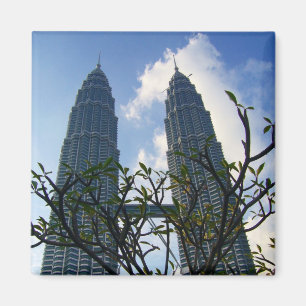 petronas magneet