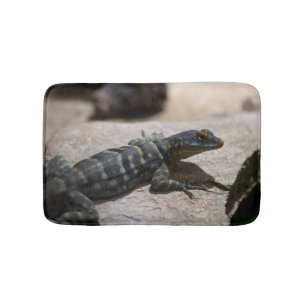 Petrosaurus thalassinus badmat