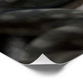 Petrosaurus thalassinus perfect poster (Hoek)