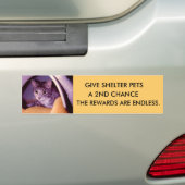 PETS BUMPERSTICKER (Op auto)