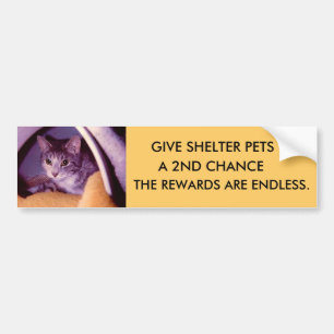 PETS BUMPERSTICKER