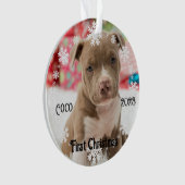 Pet's eerste kerst Keepsake Acryl Ornament (voorkant)