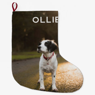 Pet's eerste kerstfoto Grote kerstfoto Stocki Kerstsok