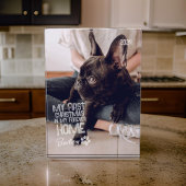 Pet's Eerste Kerstmis voor altijd Thuis Moderne Gr Fotoblokken