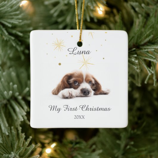 Pet's First Christmas in Forever Home Modern Keramisch Ornament (Boom)