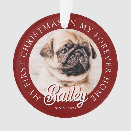 Pet's My First Christmas In Forever Home Modern (devant)