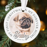 Pet's My First Christmas In Forever Home Modern<br><div class="desc">Design est composé de typographie moderne avec sans serif et serif police. Ajoutez une photo personnalisée de l'animal de compagnie adopté et de l'année.</div>