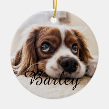 Pet's Simple Elegant Dog Name and Photo Christmas
