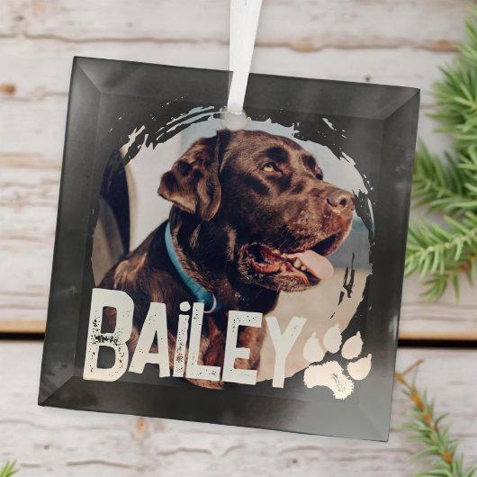 Pet's Simple Modern Cool Grunge Naam en foto Glas Ornament