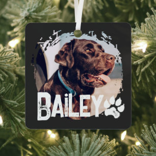 Pet's Simple Modern Cool Grunge Naam en foto Metalen Ornament