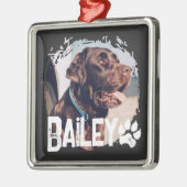 Pet's Simple Modern Cool Grunge Naam en foto Metalen Ornament (Links)