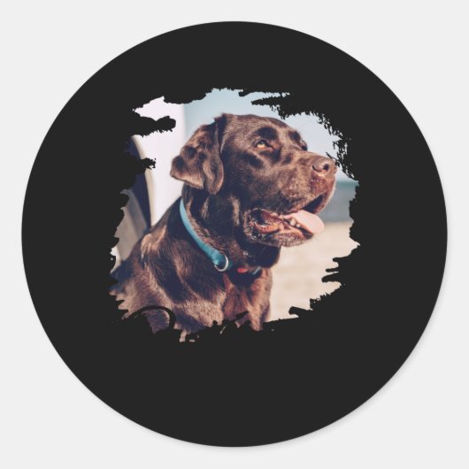 Pets Simple Modern Cool Tygraphy Name And Photo  Ronde Sticker (Voorkant)