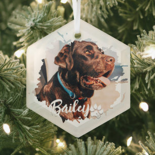 Pet's Simple Modern Cool Typografie Naam en foto Glas Ornament