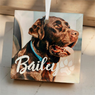 Pet's Simple Modern Cool Typografie Naam en foto Glas Ornament