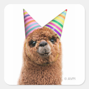Petten van Alpaca Wearing Party Vierkante Sticker