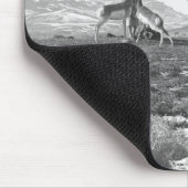 Petting Antelopes. Muismat (Hoek)