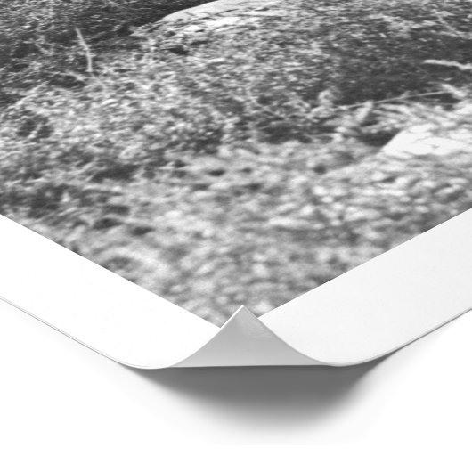 Petting Antelopes Poster (Hoek)