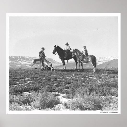 Petting Antelopes Poster (Voorkant)