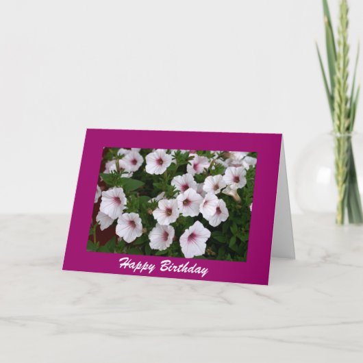 Petunia Birthday Greeting Kaart (Voorkant)