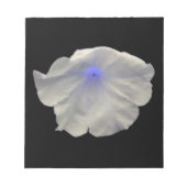 Petunia Blue Glow-notebook Notitieblok (Voorkant)
