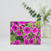 Petunia Briefkaart (Staand voorkant)
