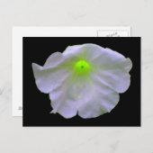 Petunia Bright Green Briefkaart (Voorkant / Achterkant)