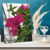 Petunia Fotoplaat (Zijkant)