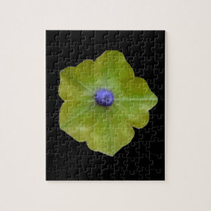 Petunia Green en Blue Puzzle Legpuzzel