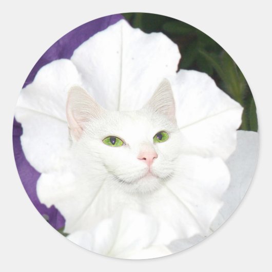 Petunia kattengezicht ronde sticker (Voorkant)