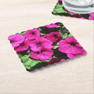Petunia Onderzetter