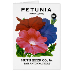 Petunia  Seed Packet